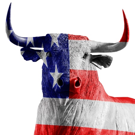USA bullの写真素材