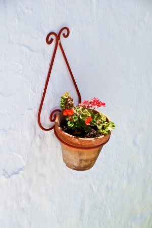 pot in Canillas de Albaida, Malaga, Spainの写真素材
