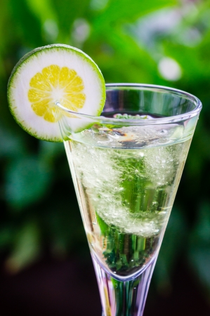 yellow cocktail with a slice of limeの写真素材