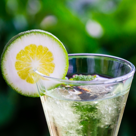 yellow cocktail with a slice of limeの写真素材
