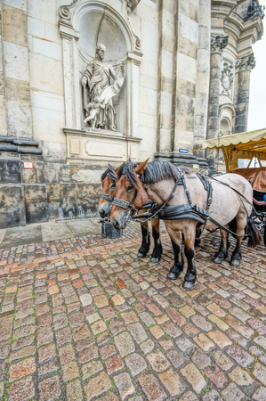 DRESDEN, GERMANY - SEPTEMBER 23: Carriage on the city street  on September 23, 2013 in Dresden, Germany. Dresden is the capital of Saxony.のeditorial素材