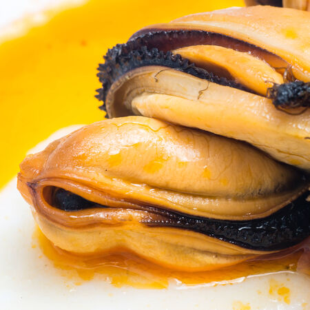mussel close upの写真素材