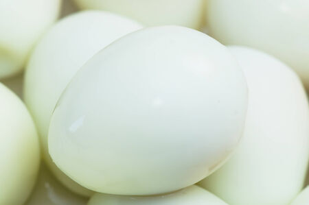 quail eggsの写真素材