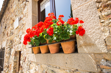 typical pots in a streetの写真素材
