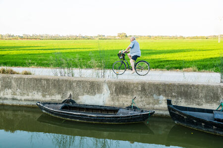 VALENCIA, SPAIN - JULY 14: Albufera on July 14, 2014 in Valencia, Spain The Albufera is a freshwater lagoon and estuary on the Gulf of Valencia coast of the Valencian Community in eastern Spain.のeditorial素材