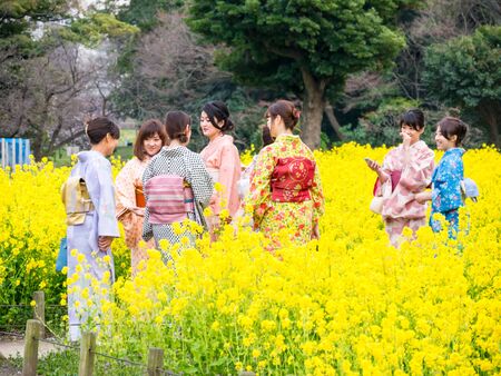 TOKYO, JAPAN - MARCH 20: Unidentified women wearing traditional japanese costumes in Hama Rikyu garden on March 20, 2015 in Tokyo, Japan.のeditorial素材