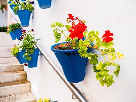 Flowers in flowerpot on the walls on streets of Cordoba, Spainの写真素材