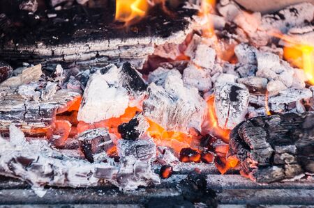 barbecueの写真素材