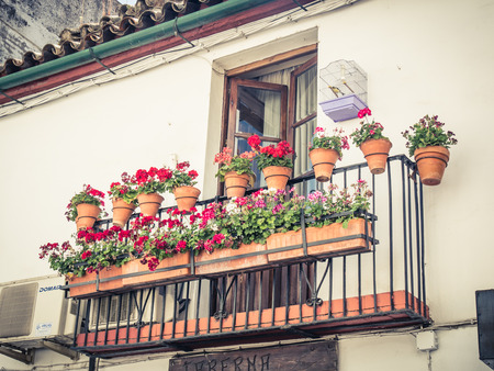 CORDOBA, SPAIN - MAY 08: Flowers Decoration during the Festival of the Patios on May 08, 2015 in Cordoba, Spain. The historic centre was named a UNESCO World Heritage Site.のeditorial素材