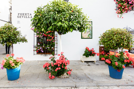 CORDOBA, SPAIN - MAY 09: Flowers Decoration during the Festival of the Patios on May 09, 2015 in Cordoba, Spain. The historic centre was named a UNESCO World Heritage Site.のeditorial素材