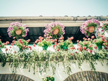 CORDOBA, SPAIN - MAY 08: Flowers Decoration during the Festival of the Patios on May 08, 2015 in Cordoba, Spain. The historic centre was named a UNESCO World Heritage Site.のeditorial素材