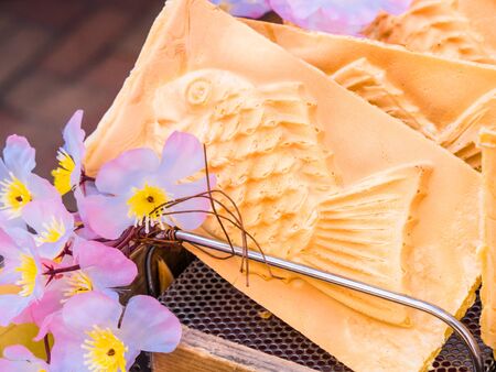 Taiyakiの写真素材