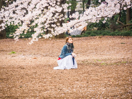 TOKYO, JAPAN - MARCH 31: Shinjuku Goen on March 31, 2015 in Tokyo, Japan. The garden, which is 58.3 hectares in area, blends three distinct styles: a French Formal and English Landscape in the north and to the south a Japanese traditional.のeditorial素材