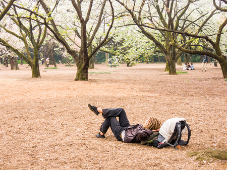 TOKYO, JAPAN - MARCH 31: Shinjuku Goen on March 31, 2015 in Tokyo, Japan. The garden, which is 58.3 hectares in area, blends three distinct styles: a French Formal and English Landscape in the north and to the south a Japanese traditional.のeditorial素材