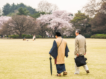 TOKYO, JAPAN - MARCH 31: Shinjuku Goen on March 31, 2015 in Tokyo, Japan. The garden, which is 58.3 hectares in area, blends three distinct styles: a French Formal and English Landscape in the north and to the south a Japanese traditional.のeditorial素材