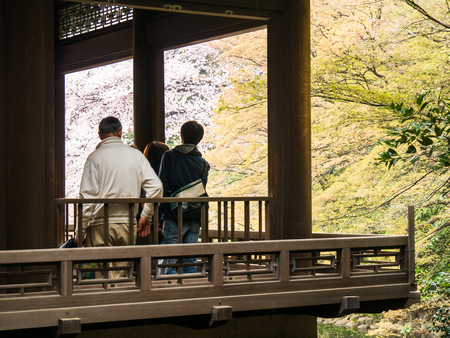 TOKYO, JAPAN - MARCH 31: Shinjuku Goen on March 31, 2015 in Tokyo, Japan. The garden, which is 58.3 hectares in area, blends three distinct styles: a French Formal and English Landscape in the north and to the south a Japanese traditional.のeditorial素材
