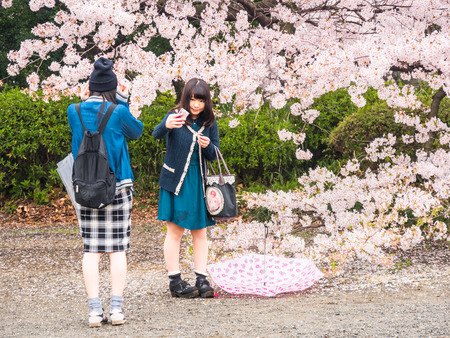 TOKYO, JAPAN - MARCH 31: Shinjuku Goen on March 31, 2015 in Tokyo, Japan. The garden, which is 58.3 hectares in area, blends three distinct styles: a French Formal and English Landscape in the north and to the south a Japanese traditional.のeditorial素材
