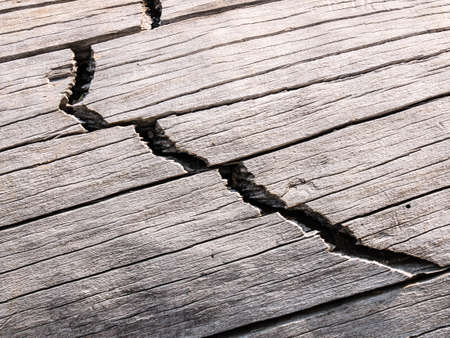 trunk backgroundの写真素材