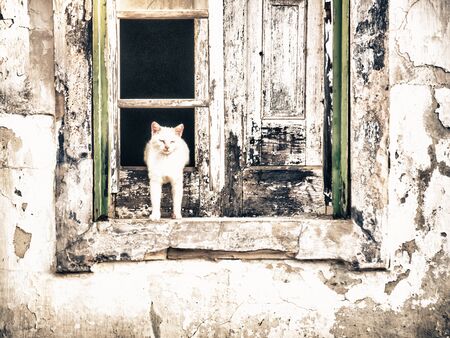 CASTRO MARIM, PORTUGAL - MAY 29: typical street on May 29, 2015 in Castro Marim, Portugal.It  is a town and a municipality in the southern region of Algarve, in Portugal.のeditorial素材