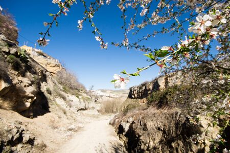 Alhama in Granada, Andalusia, Spainの写真素材