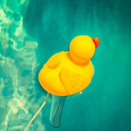 rubber duck in a pool