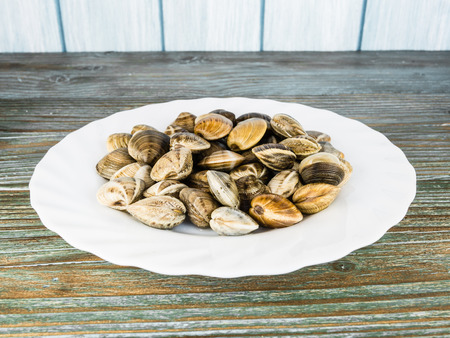 clams on a white plateの写真素材