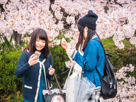 TOKYO, JAPAN - MARCH 31: Shinjuku Goen on March 31, 2015 in Tokyo, Japan. The garden, which is 58.3 hectares in area, blends three distinct styles: a French Formal and English Landscape in the north and to the south a Japanese traditional.のeditorial素材