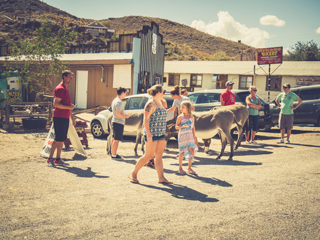 OATMAN, USA - SEPTEMBER 05: Oatman street on September 05, 2015 in Oatman, California, United States. Oatman is a former mining town in the Black Mountains of Mohave County.のeditorial素材