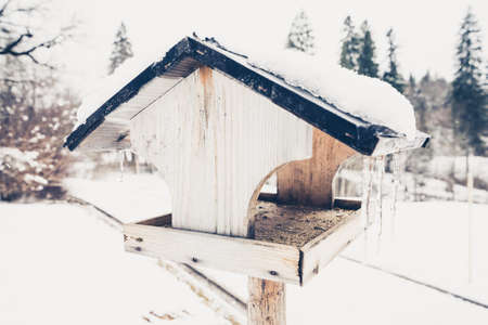 Close-up of snowed birdfeeder with iciclesの写真素材