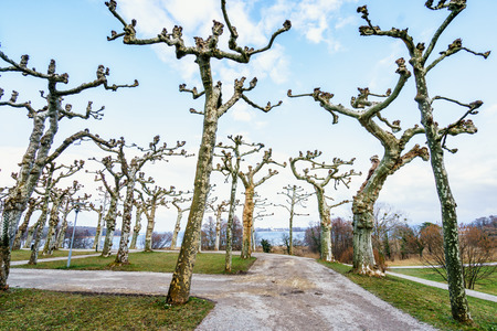 Chiemsee in Germanyのeditorial素材