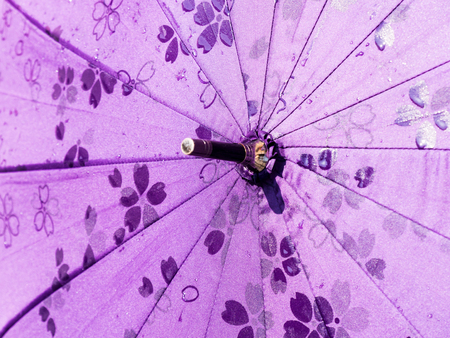 japanese umbrellaの写真素材