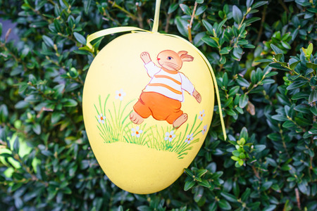 Yellow Easter egg with painted rabbit walking on grass on green background