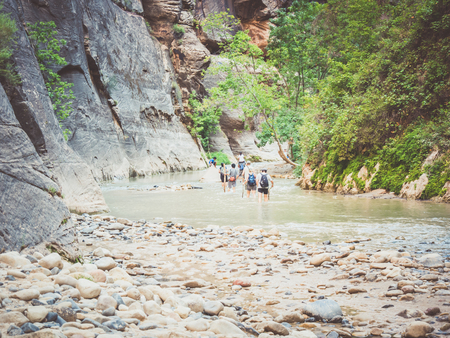 ZION, USA - SEPTEMBER 08: Unidentified tourists on September 08, 2015 in Zion National Park, Utah, United States. Numerous plant species as well as 289 species of birds, 75 mammals and 32 reptiles inhabit the park.のeditorial素材