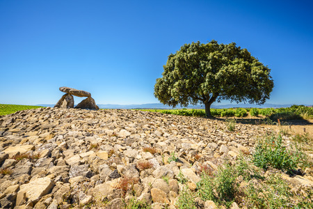 View of famous Alava landmark - megalithic tomb on landscape with big tree in sunlight in Spain.の写真素材