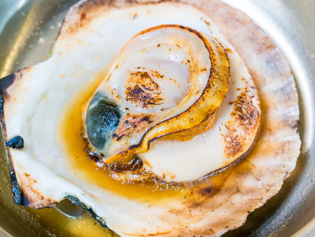 cooking oyster