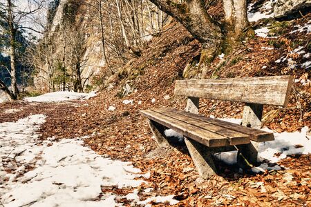 Gosausee in Tyrol, Austriaの写真素材