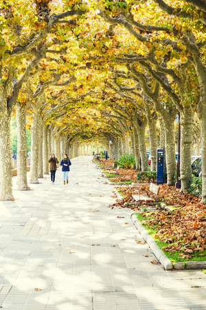 Burgos, Spain - 10.11.2016: Faceless people walking in autumn. Vertical outdoor shotのeditorial素材