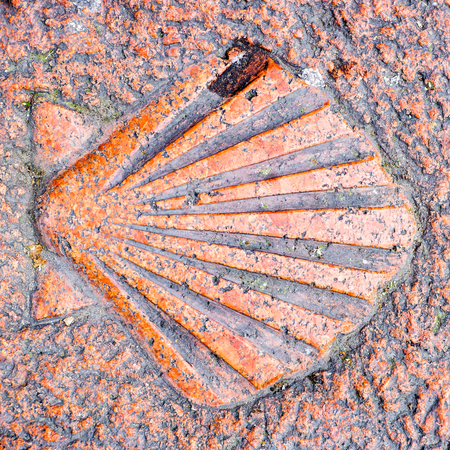 Way of St. James  - 10.11.2016 From above shot of granite scallop shell symbol. Square outdoor shotのeditorial素材