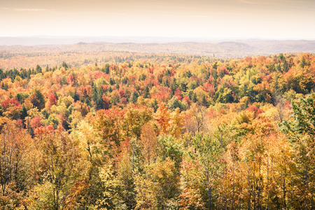 Picturesque view to colorful autumn forest in Battleboro, Vermont, USA. Horizontal outdoors shotの写真素材