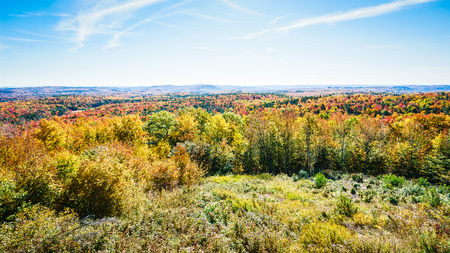 Picturesque view to colorful autumn forest in Battleboro, Vermont, USA. Horizontal outdoors shotの写真素材