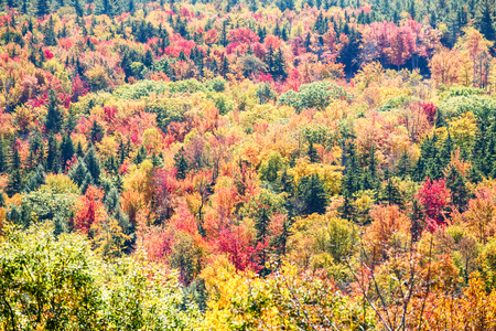 Picturesque view to colorful autumn forest in Battleboro, Vermont, USA. Horizontal outdoors shotの写真素材