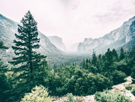Yosemite Park, California, USAのeditorial素材