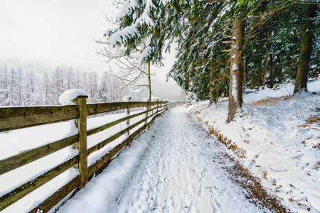 Beautiful winter landscape in Stubai Valley,Austriaの写真素材