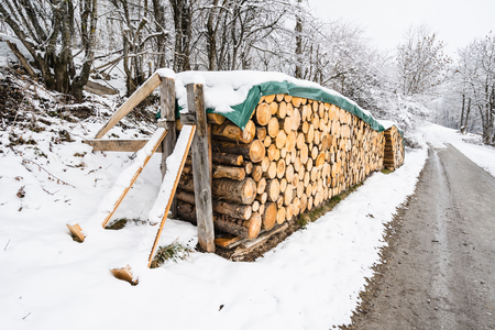 Stacks of firewoods in winter forestの写真素材