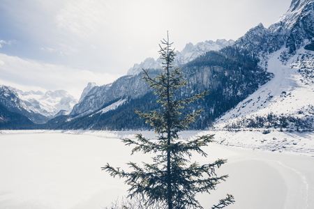 Gosausee in Tyrol, Austriaの写真素材