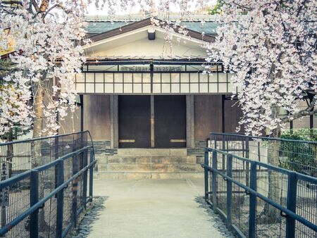 MIYAJIMA, JAPAN - MARCH 27: Miyajima viewt March 27, 2015 in Miyajima, Japan. Miyajima is a shinto holy site and listed in the World heritage of UNESCO.のeditorial素材
