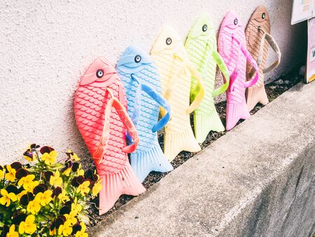 Traditional japanese shoes sandals, fishesの写真素材