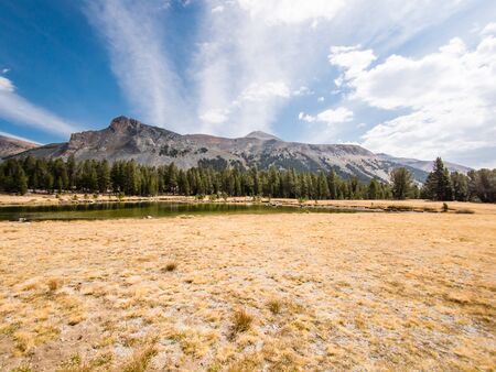 Yosemite Park, California, USA