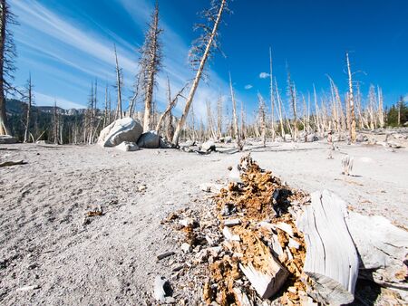 Mammoth Lakes in California, USAの写真素材