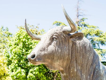 RONDA, SPAIN - MAY 10, 2019: outside bullring in Ronda, Malaga, Spain. Its population is approximately 35,000 inhabitants.のeditorial素材